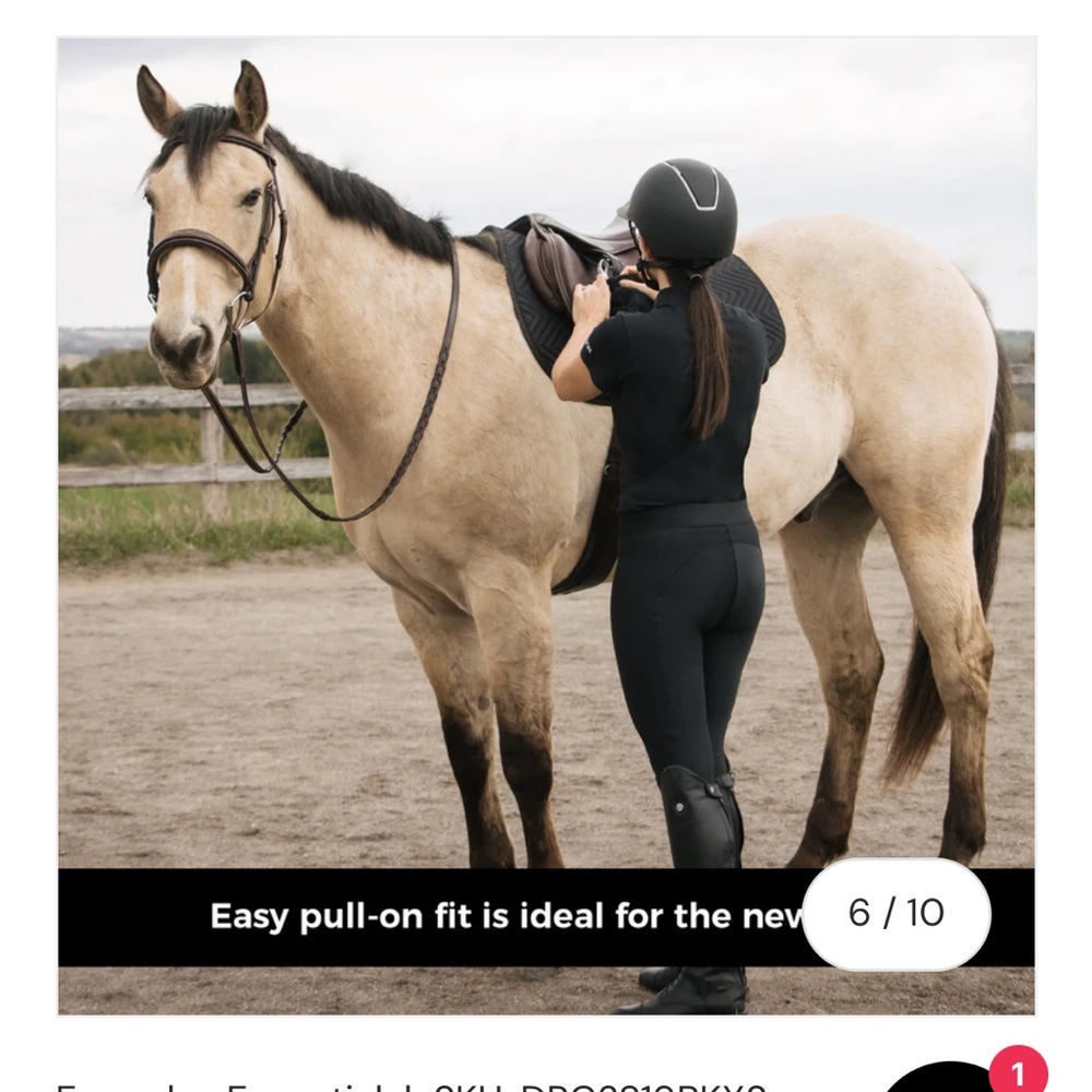 Women's Navy Riding Pants